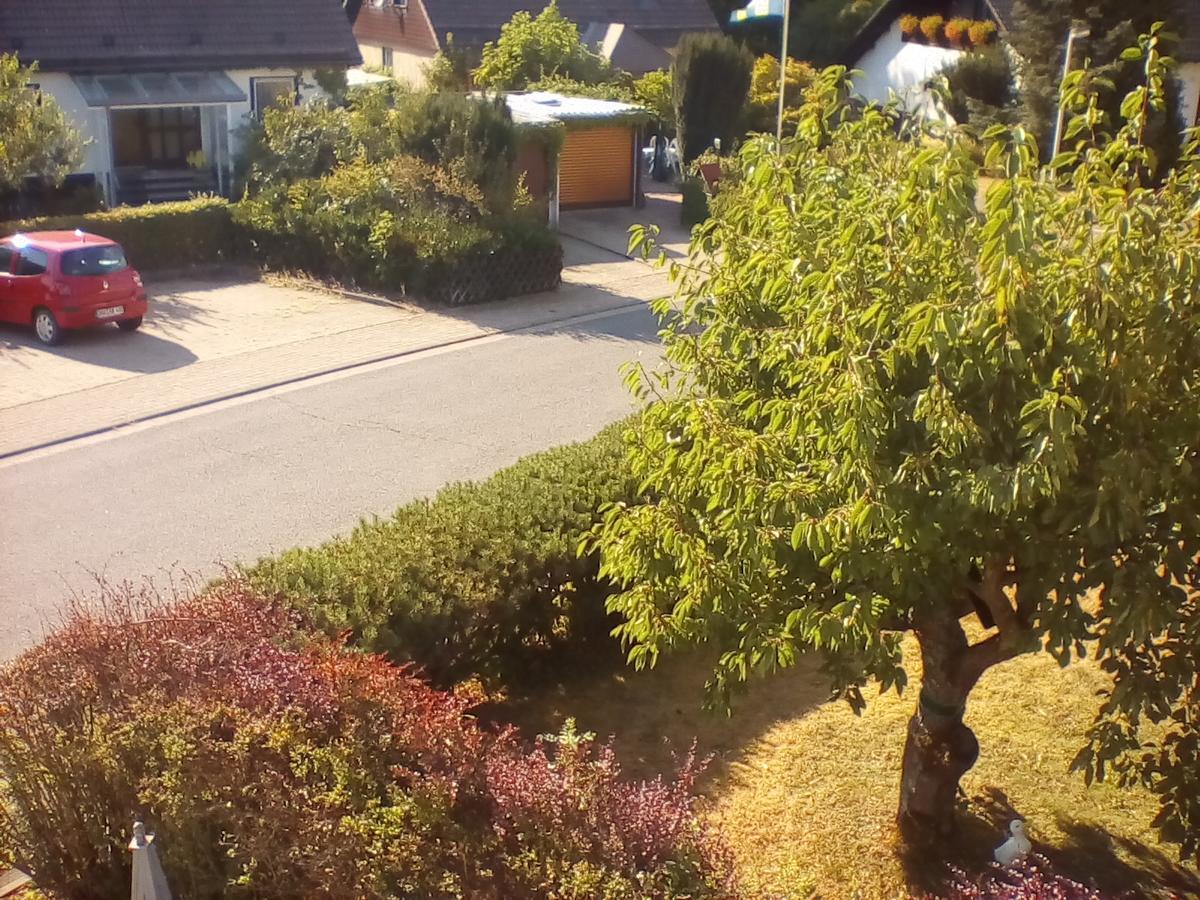 Ferienwohnung Am Geiersberg Walkenried Exterior photo